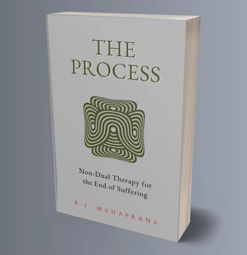 The Process Book by R.J. Mahaprana cover image 3d