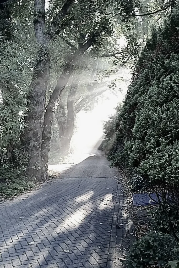 Transcending Identity non-dual therapy