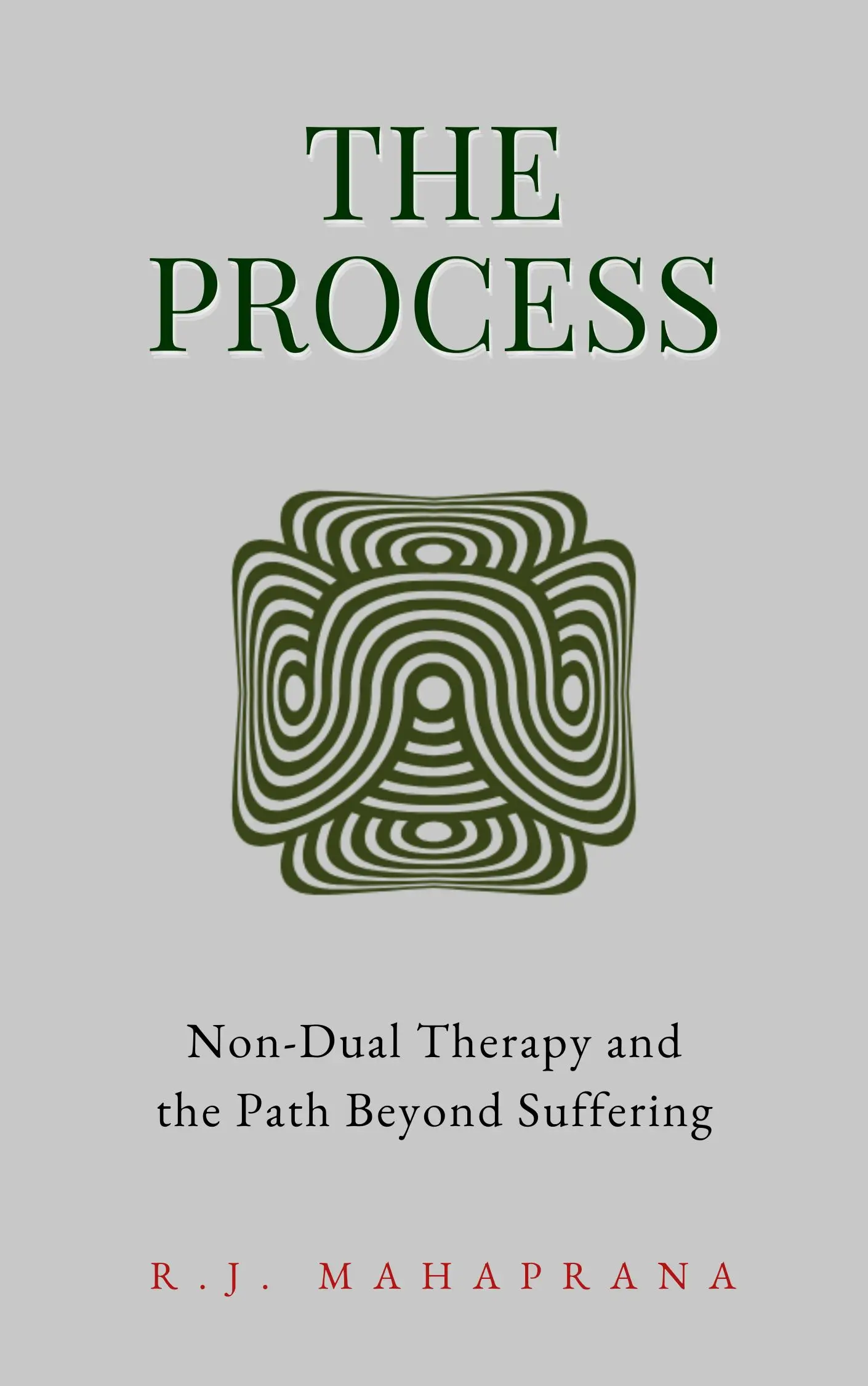 The Process: Non-Dual Therapy and the Path Beyond Emotional Suffering and Recurring Patterns book cover