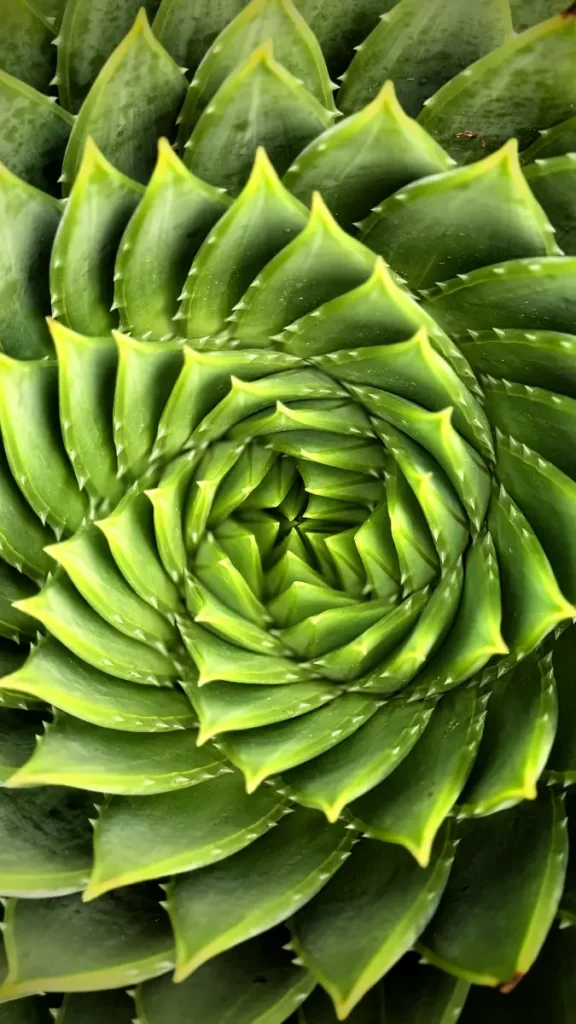 emotional triggers repeating patterns visual representation